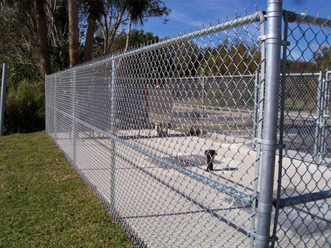 Chain link fence