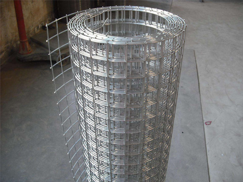 Welded wire mesh